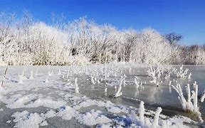 隐情重重！球员受制于内幕，欲挣脱束缚